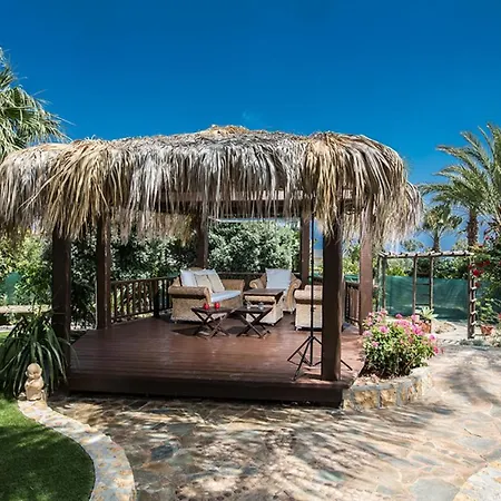 Villa Picture Relaxing Beside Your Private Pool In Reading Your Favourite Book, 1252 Protaras