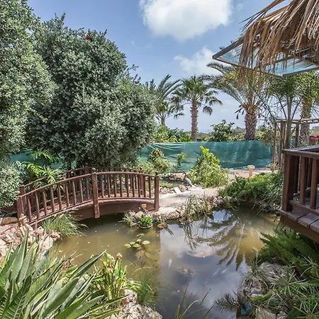 Vilă Picture Relaxing Beside Your Private Pool In Reading Your Favourite Book, 1252 Protaras